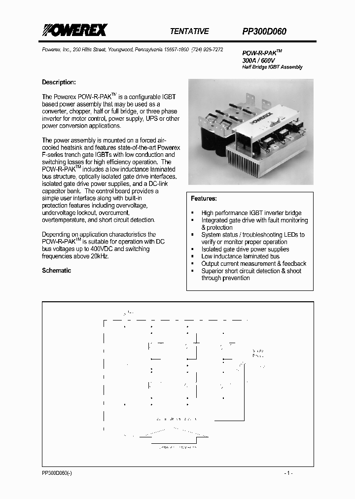 PP300D060_161365.PDF Datasheet