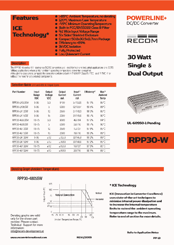 RPP30-2405SW_4677752.PDF Datasheet