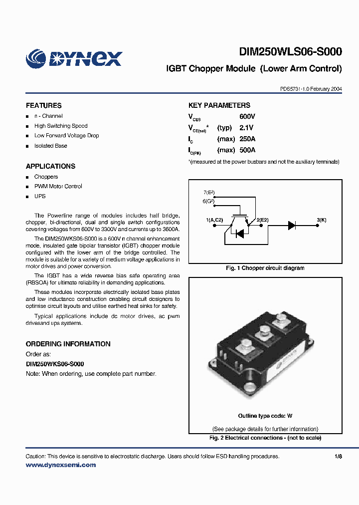 DIM250WLS06-S_2407007.PDF Datasheet