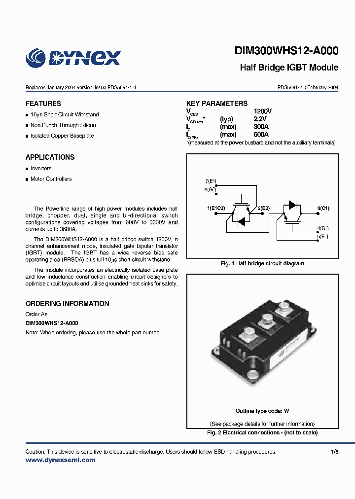 DIM300WHS12-A_2918565.PDF Datasheet