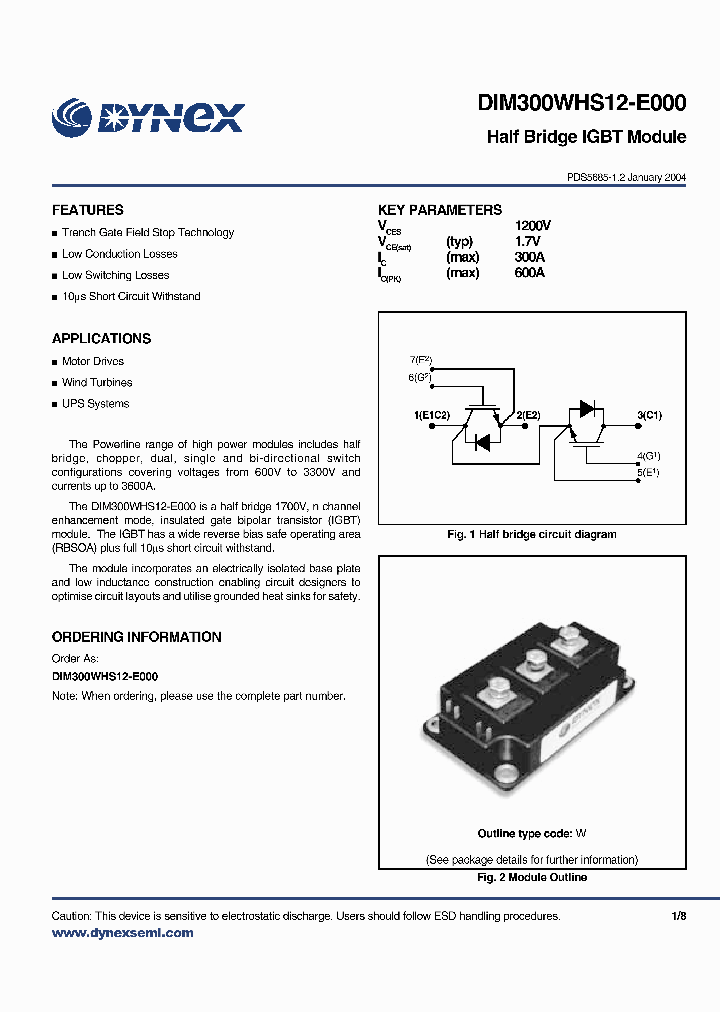 DIM300WHS12-E_2918566.PDF Datasheet