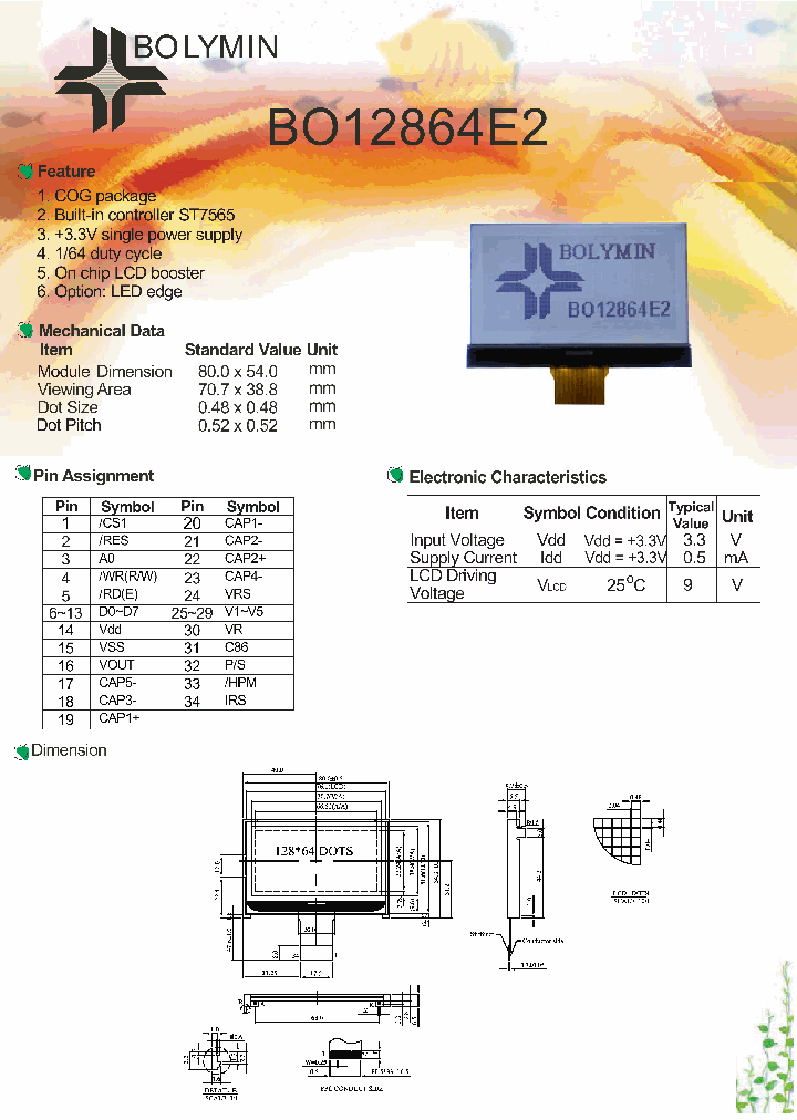 BO12864E2_5458195.PDF Datasheet