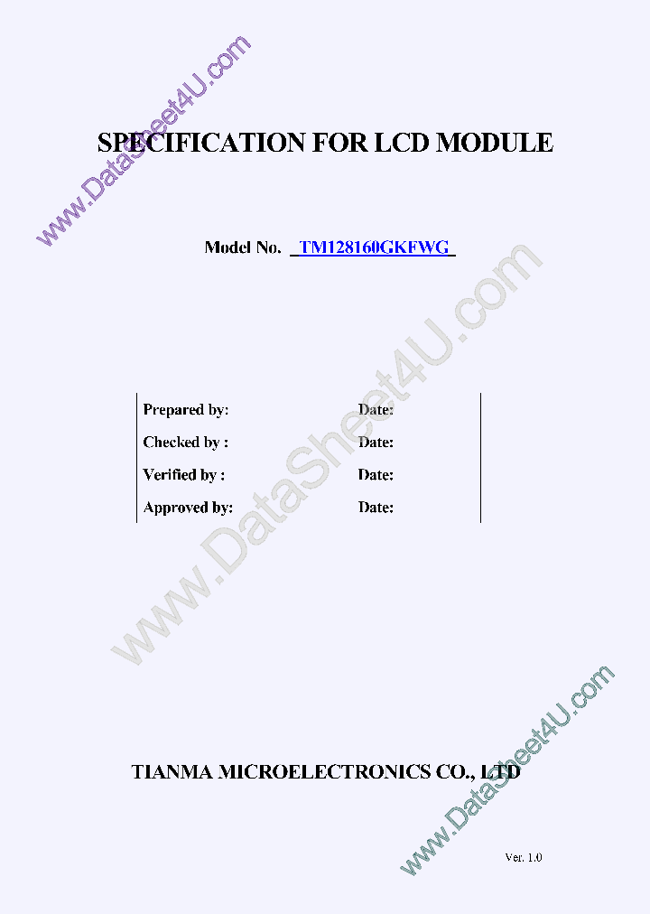 TM128160GKFWG_6938596.PDF Datasheet