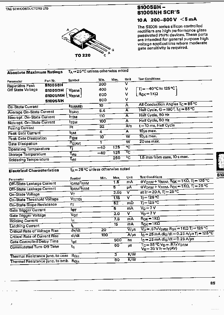 S1005NH_6965038.PDF Datasheet