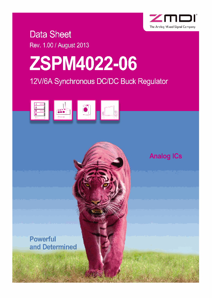 ZSPM4022-06_7592535.PDF Datasheet