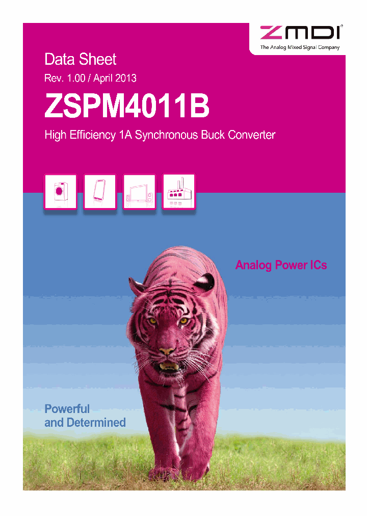 ZSPM4011BA1W00_8363572.PDF Datasheet