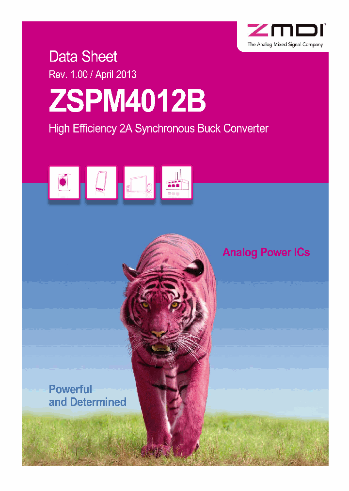 ZSPM4012B_8363580.PDF Datasheet