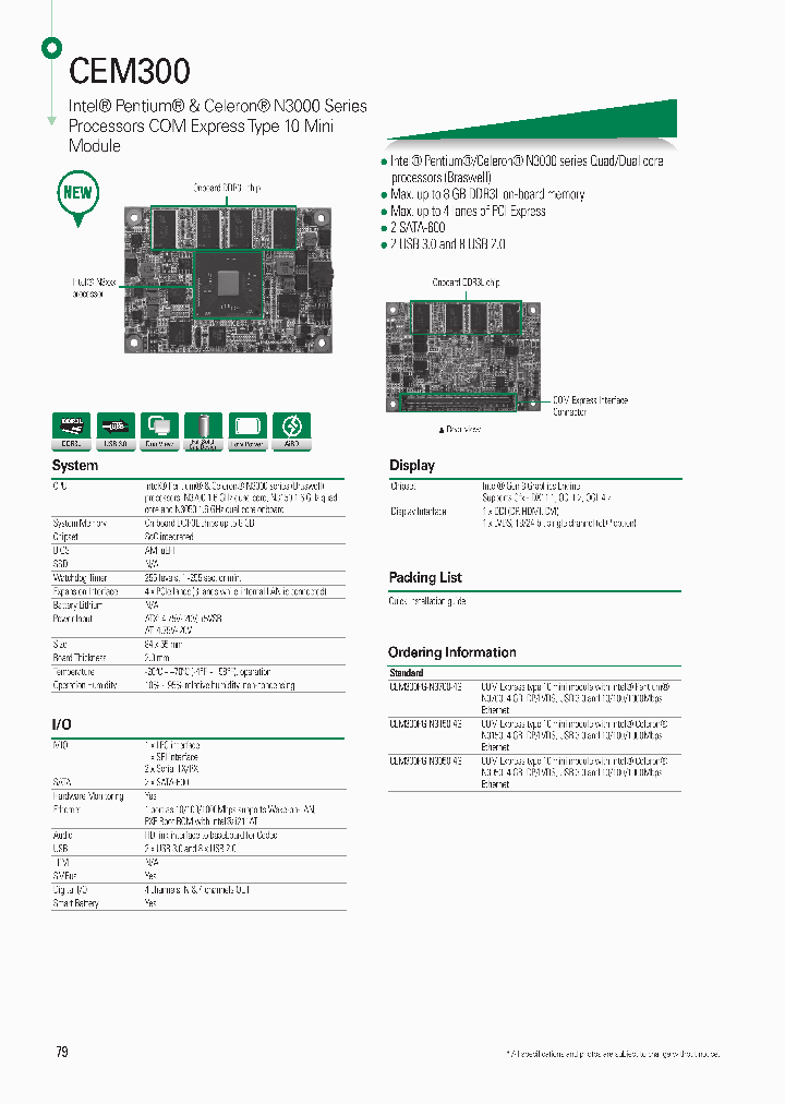 CEM300_8380072.PDF Datasheet